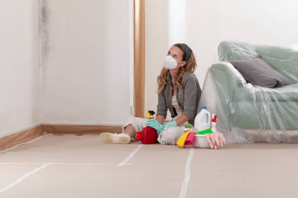Reliable Attic Mold Removal contractor in Erwin, TN by WQB Mold Removal